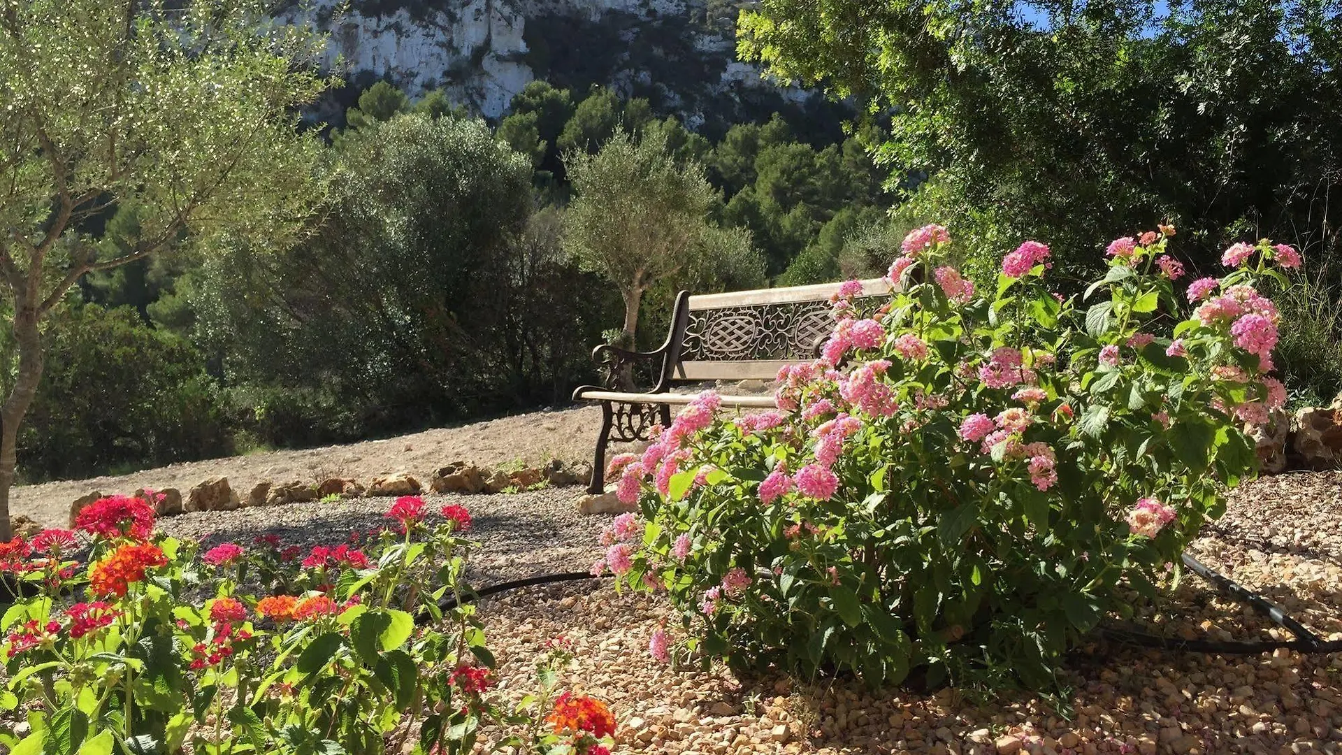 Agroturisme Es Picot Son Macia  Bauernhof